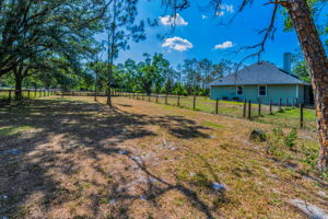 Pasture3