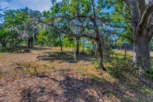 Pasture4