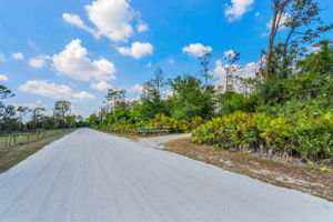 Street View2