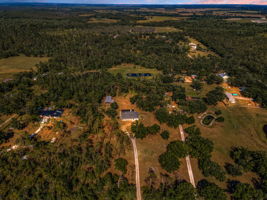 Aerial (10)
