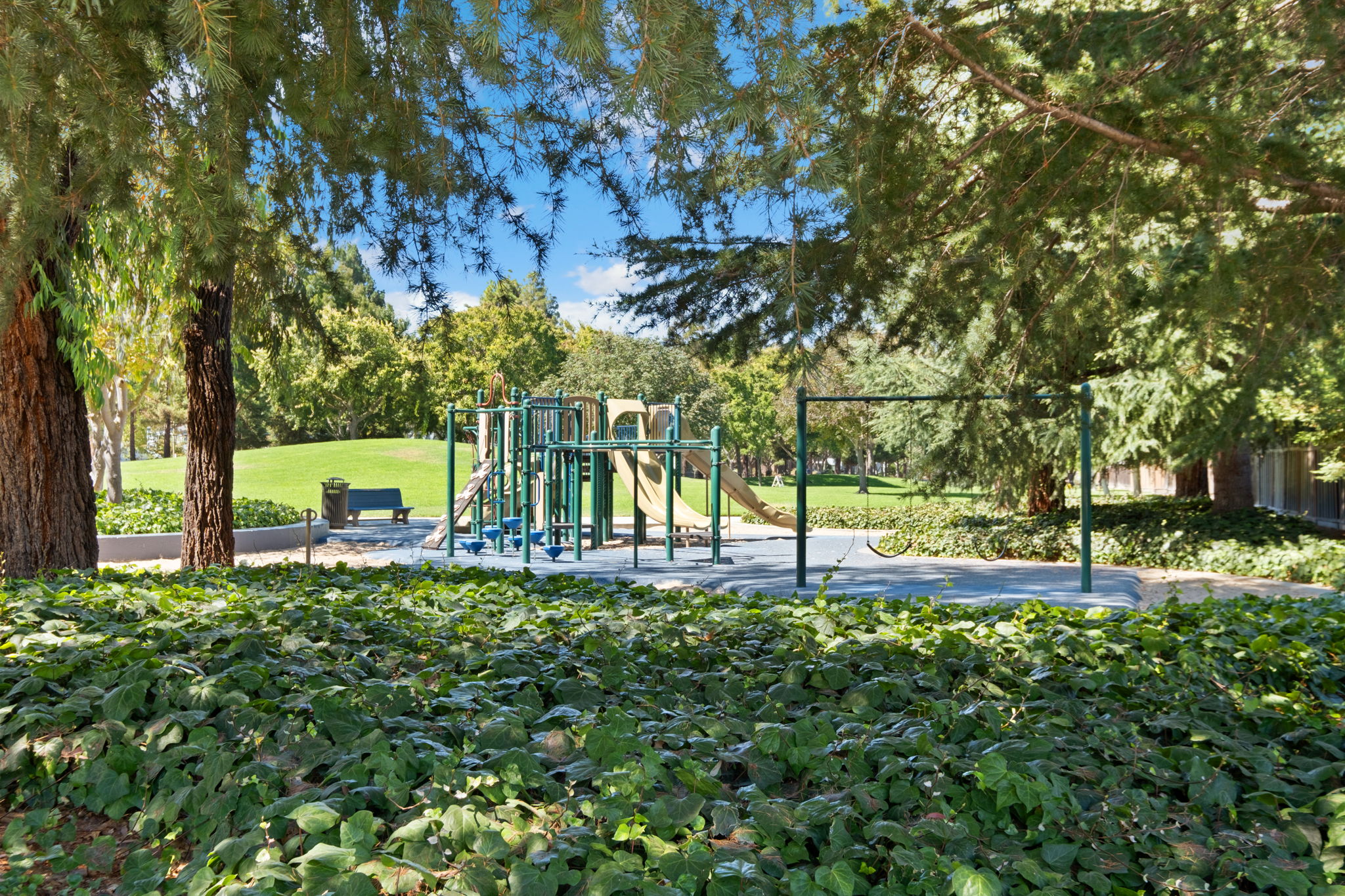  Photo 48