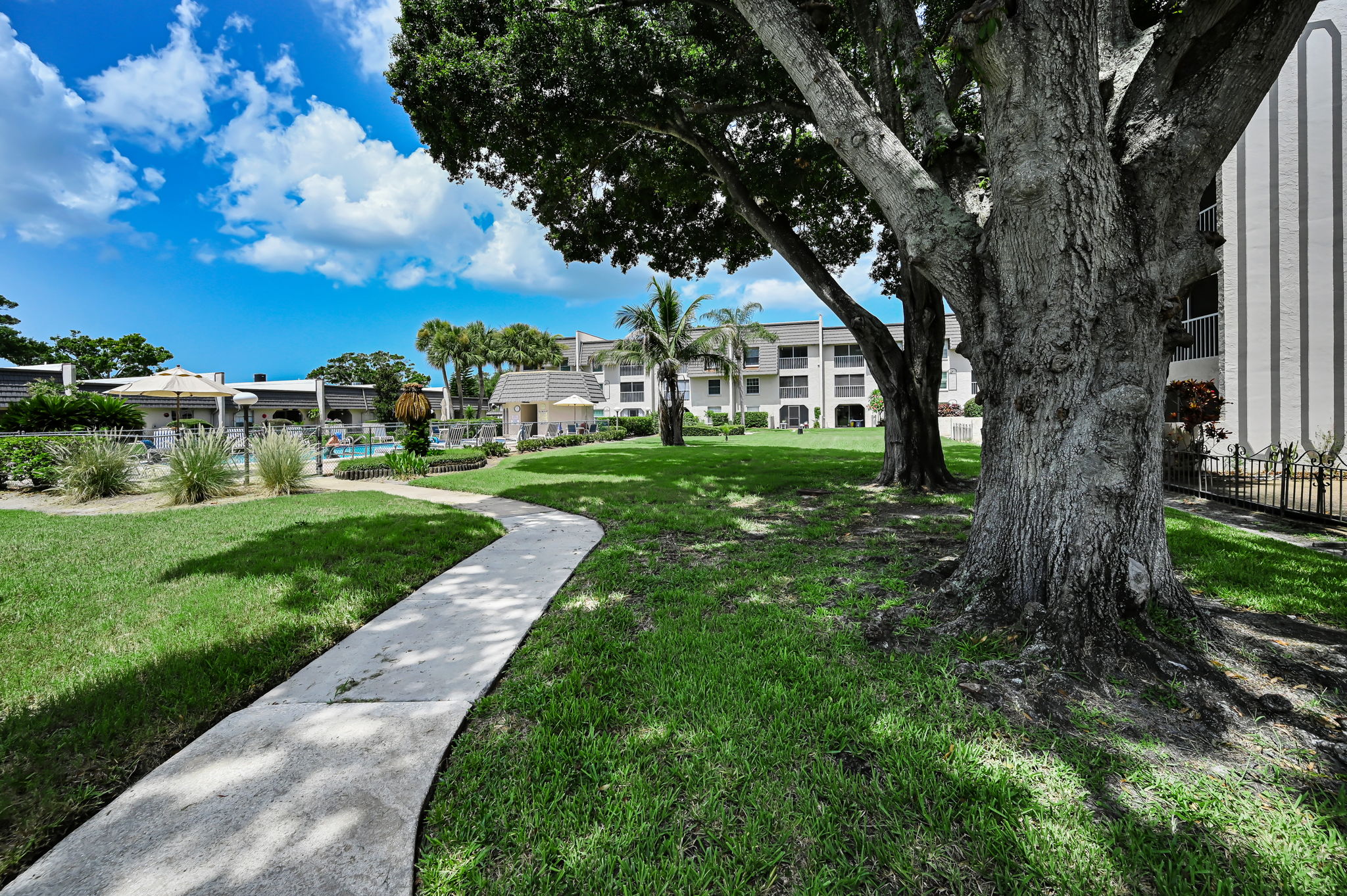 Backyard3