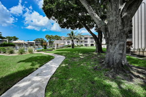 Backyard3