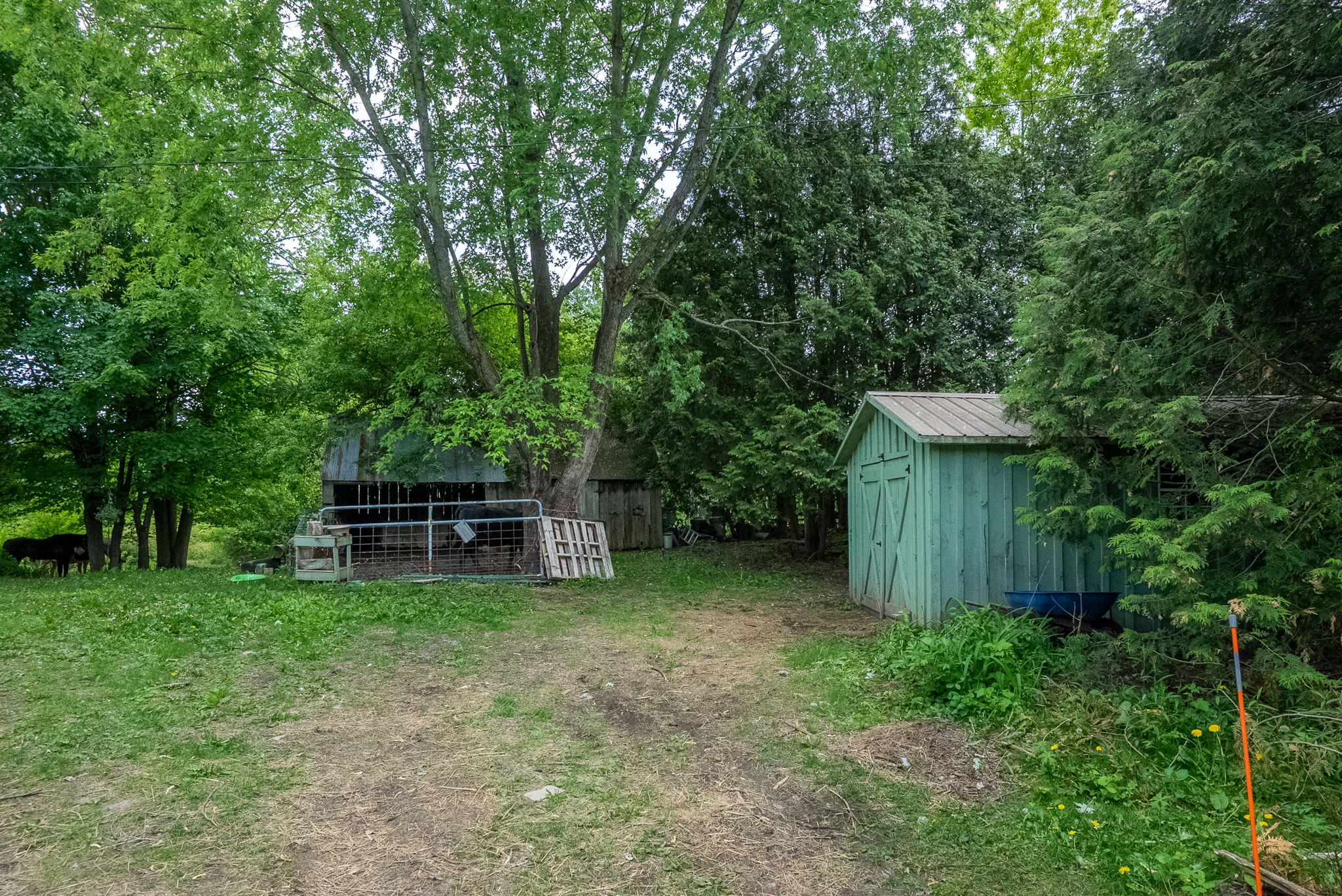  Photo 37