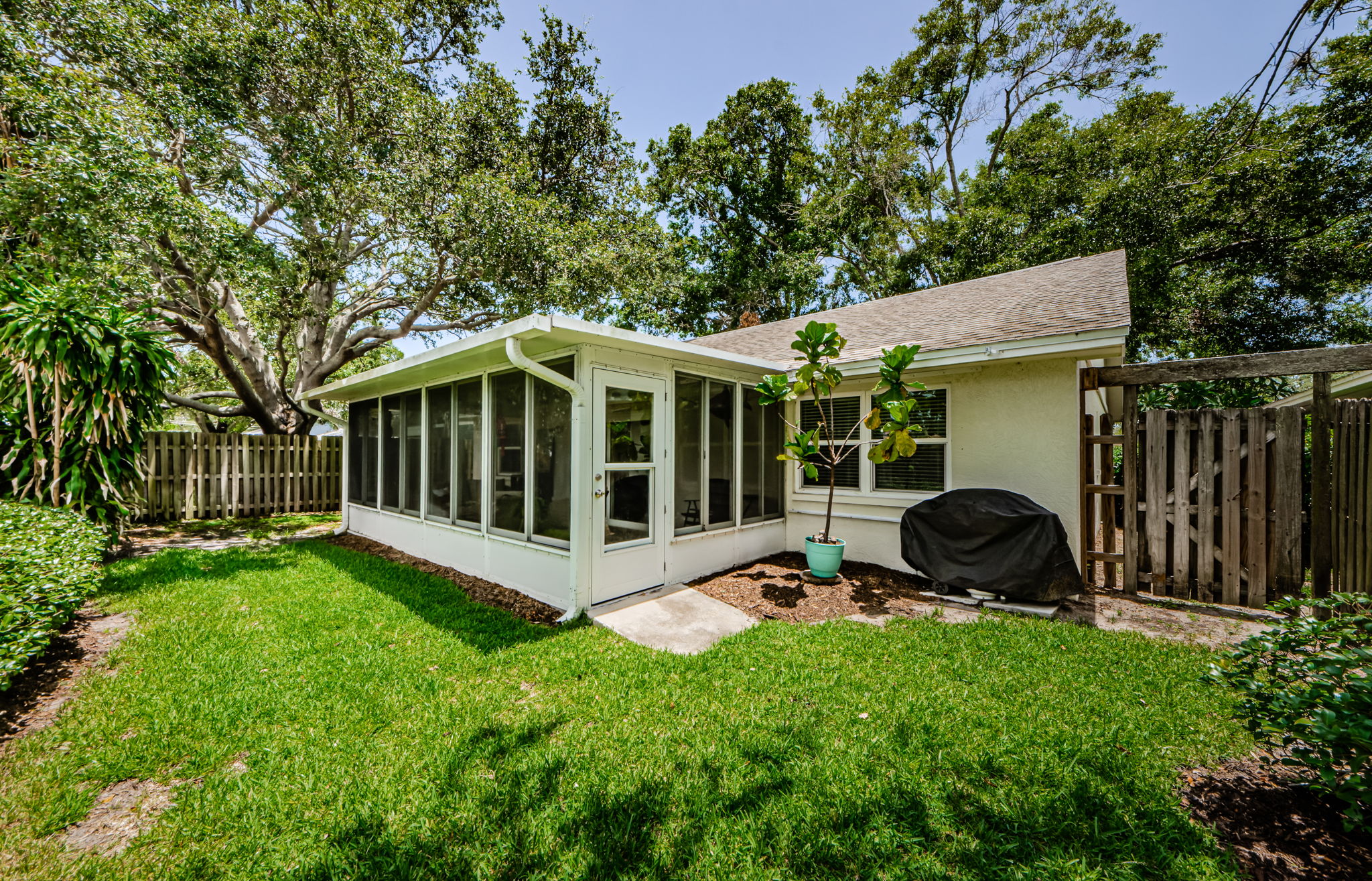 Backyard 2