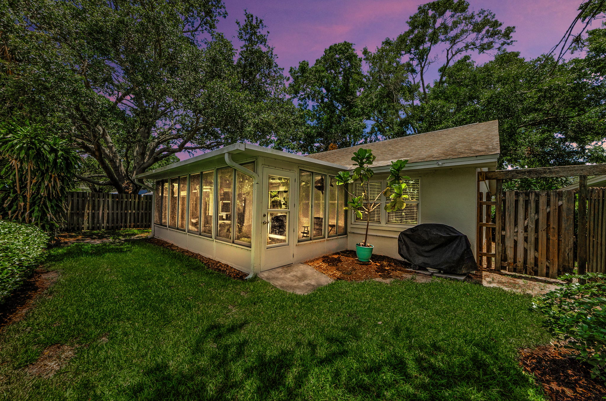 Backyard 2