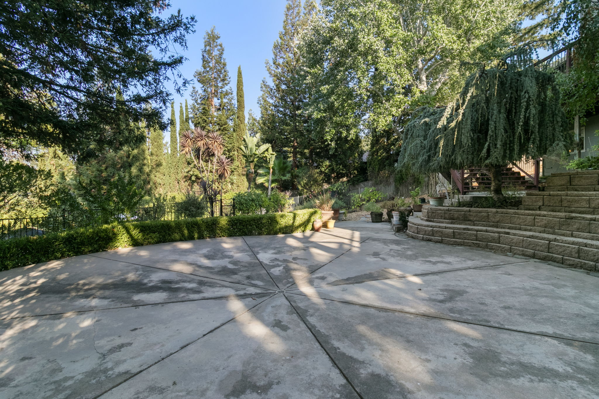 Photo 41