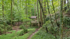 Local_Flavor_Films-878_Treadstone_Overlook_Suwanee_GA-341.jpg