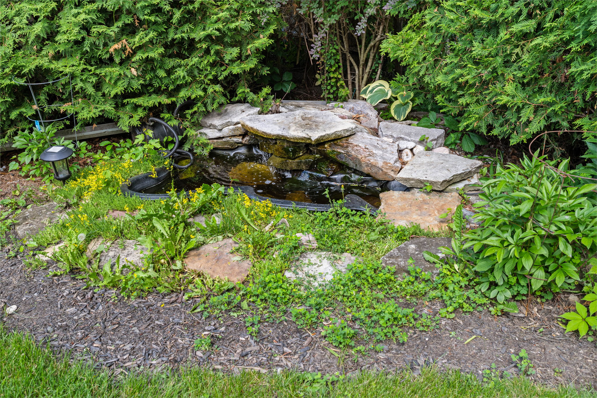  Photo 35