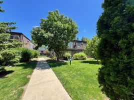 Green shady community grounds
