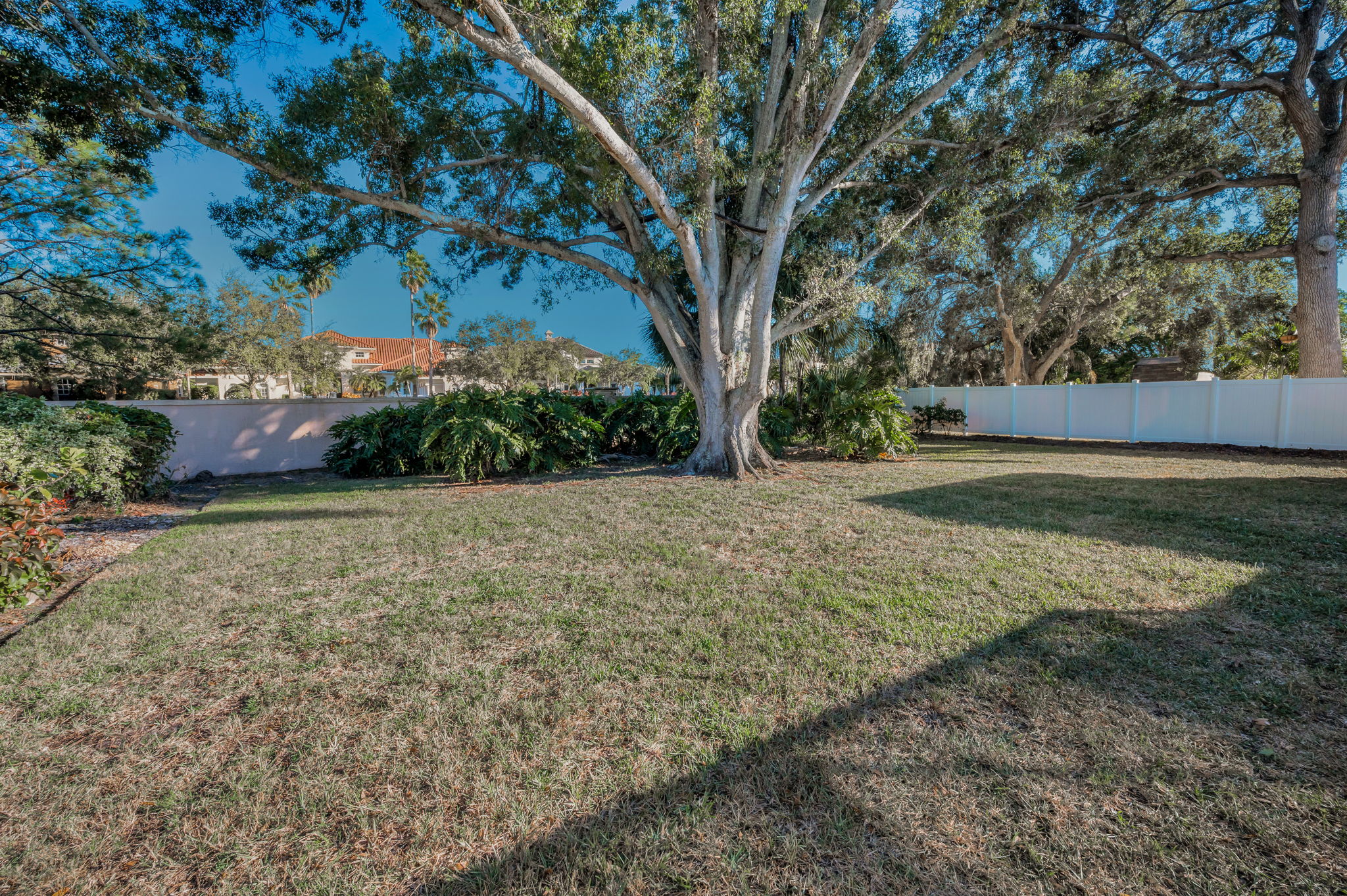 Backyard4