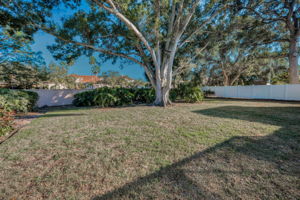 Backyard4