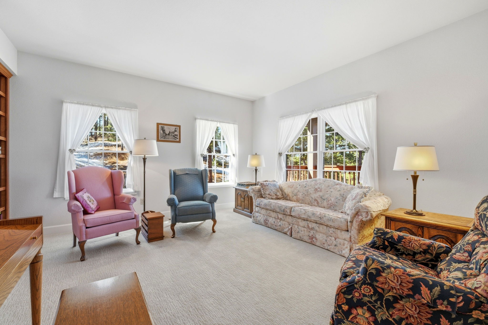 Light-Filled Living Room