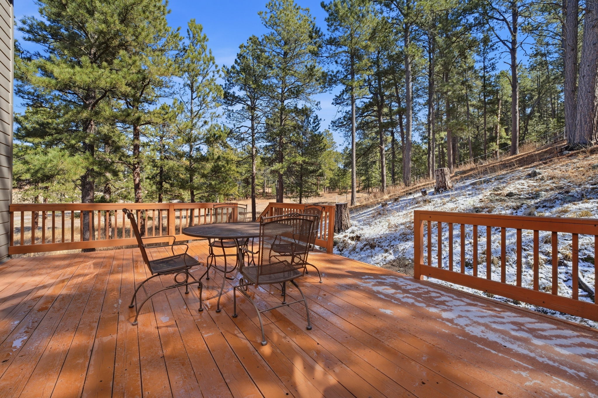 Back Deck with View of the trees.