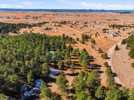 Nearly 11 Acres of Treed Property