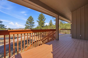 Views! Views! Views!