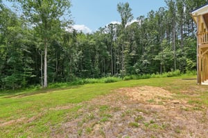 Carolyn Path-S1107-068.jpg