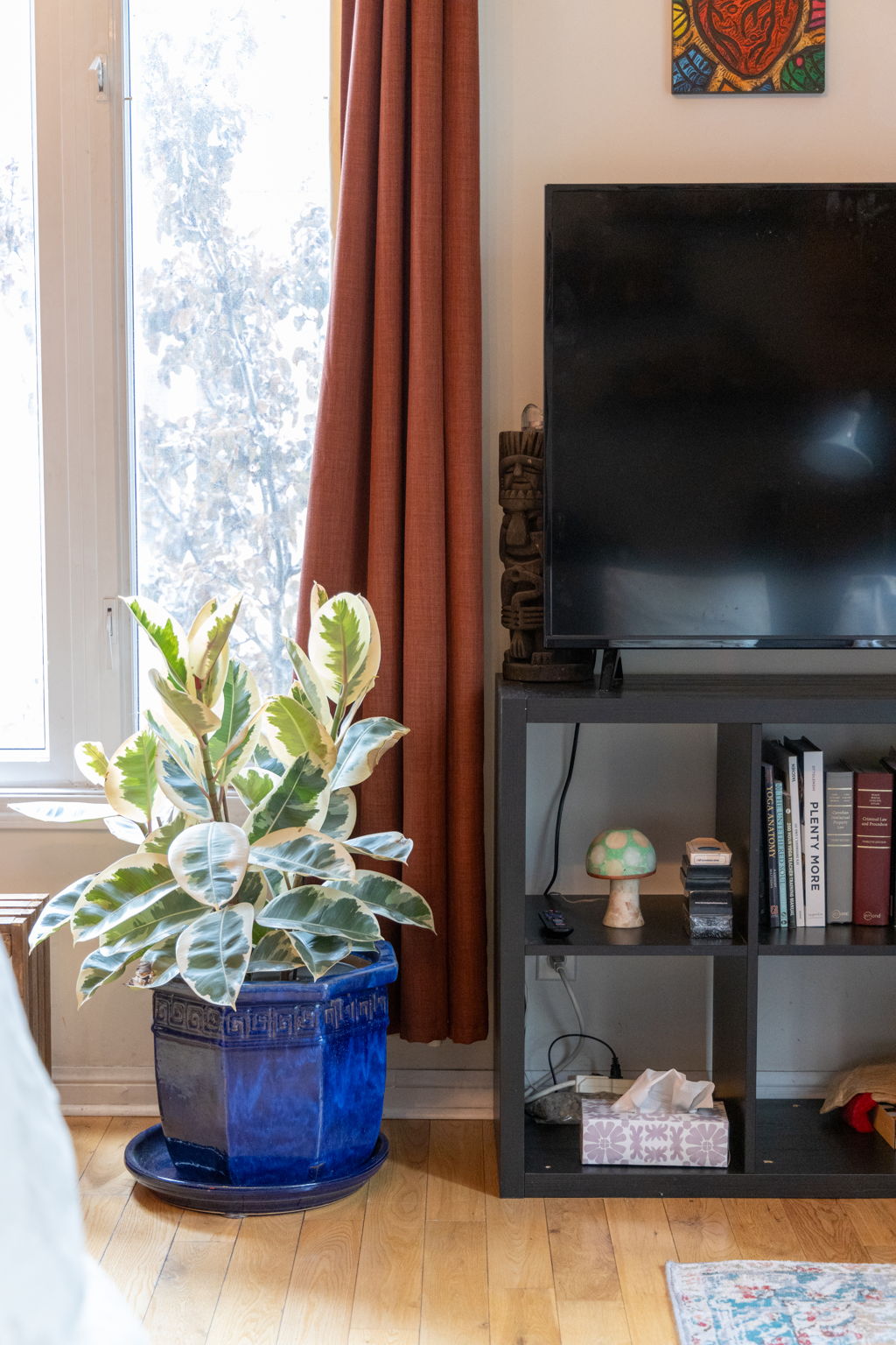 Toronto property showcase — delivered property photograph 23