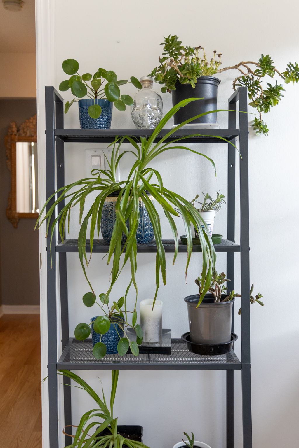 Toronto property showcase — delivered property photograph 29