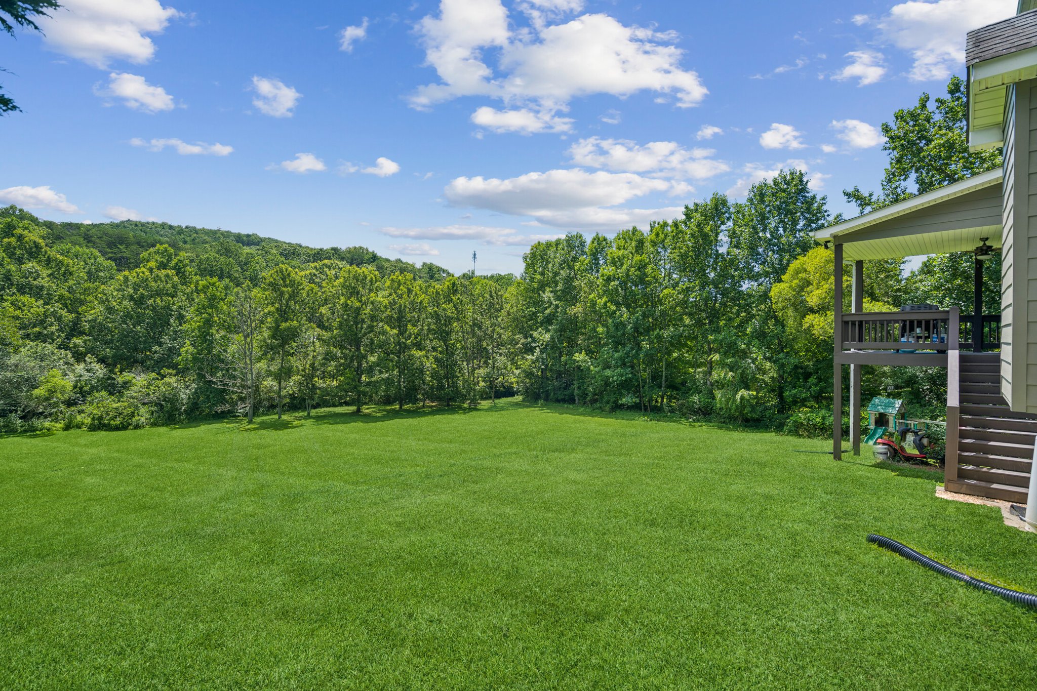 Local_Flavor_Films_88 Meadow Crest Dr, Cleveland, GA 30528-156.jpg