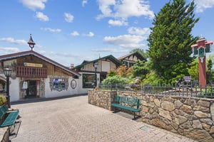 Local_Flavor_Films_88 Meadow Crest Dr, Cleveland, GA 30528-10.jpg