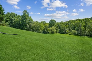 Local_Flavor_Films_88 Meadow Crest Dr, Cleveland, GA 30528-136.jpg