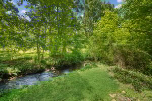 Local_Flavor_Films_88 Meadow Crest Dr, Cleveland, GA 30528-146.jpg