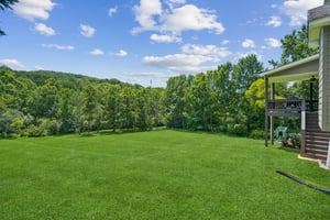 Local_Flavor_Films_88 Meadow Crest Dr, Cleveland, GA 30528-156.jpg