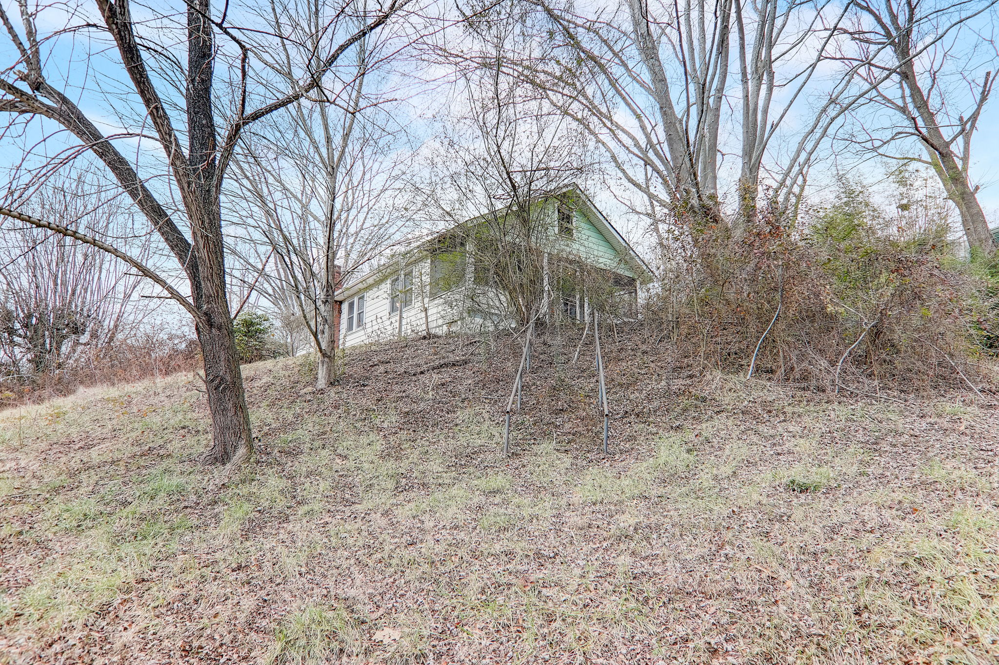 Mingus Cove Rd-040