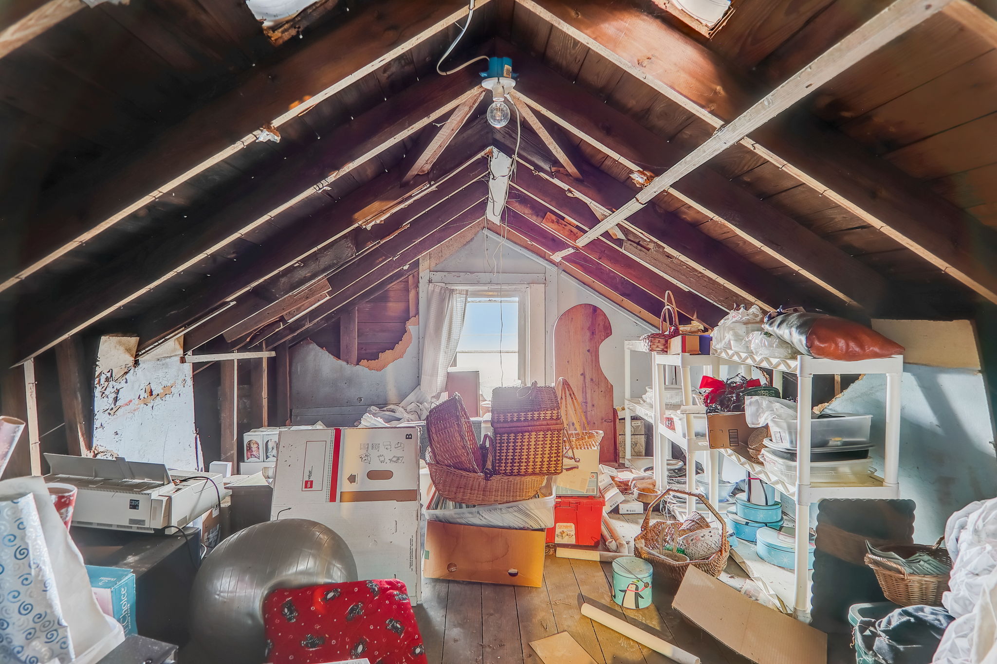 Mingus Cove Rd-031