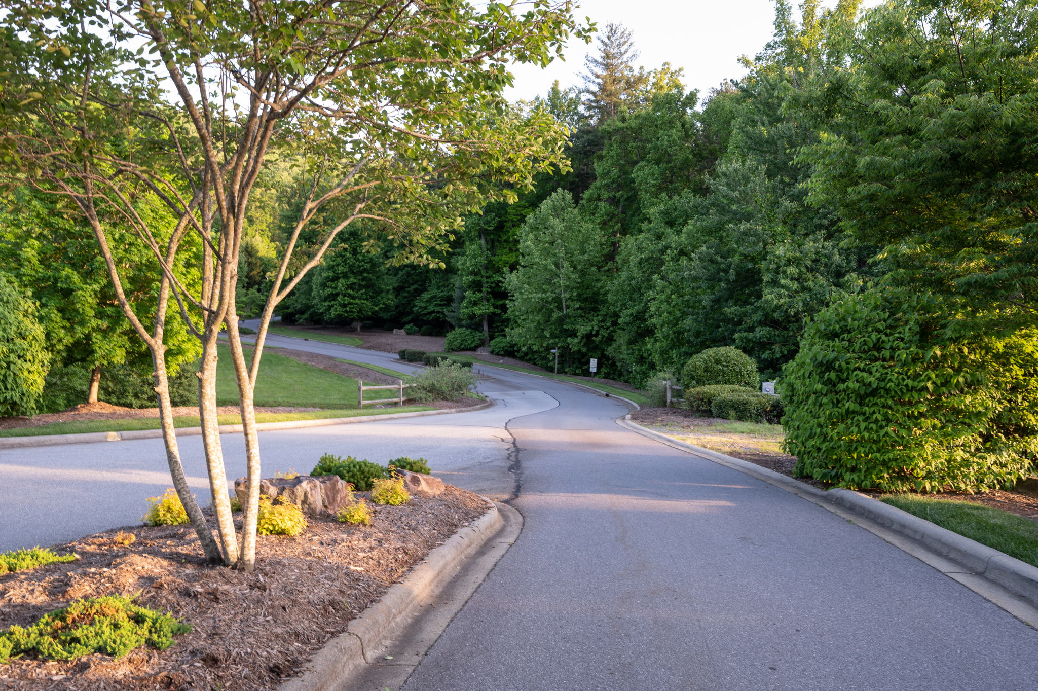 88 Village Pointe Ln, Asheville, NC 28803, USA Photo 11