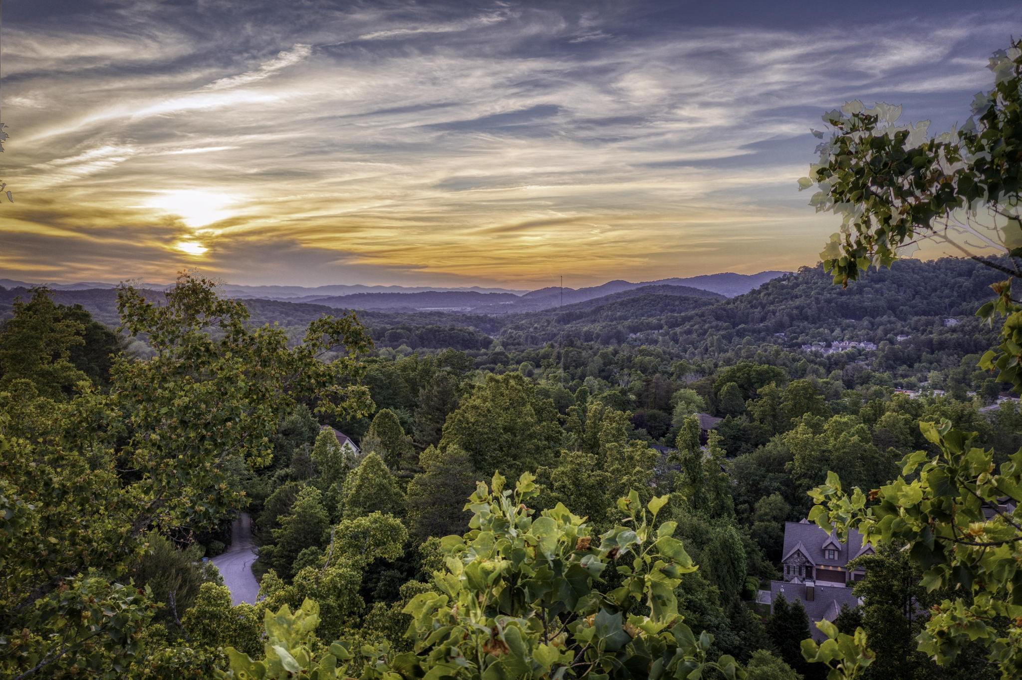 88 Village Pointe Ln, Asheville, NC 28803, USA Photo 14