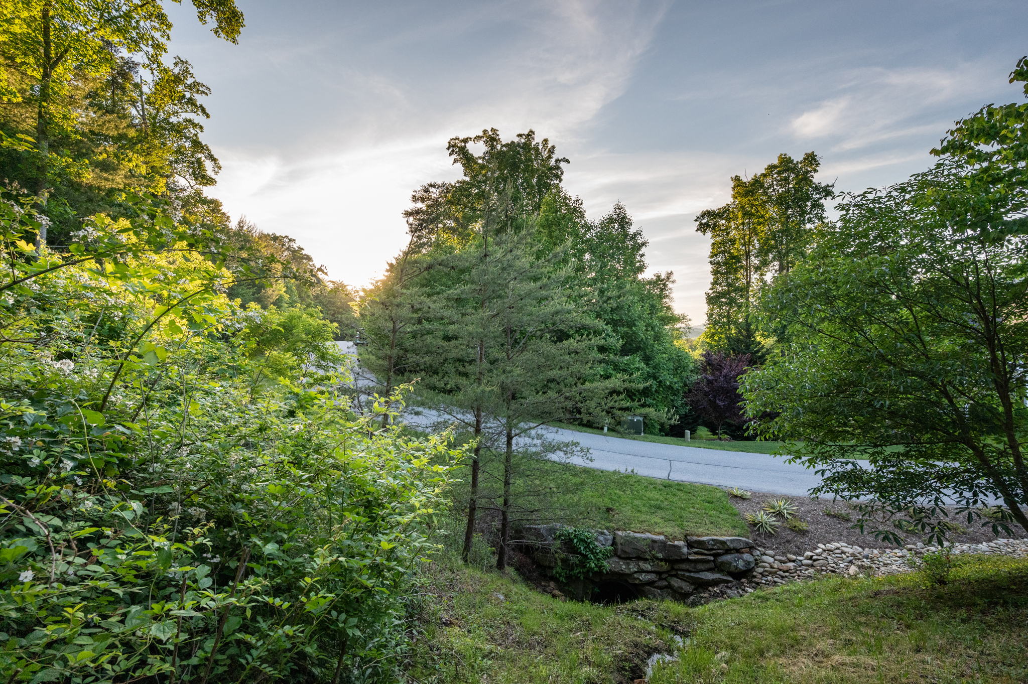 88 Village Pointe Ln, Asheville, NC 28803, USA Photo 9