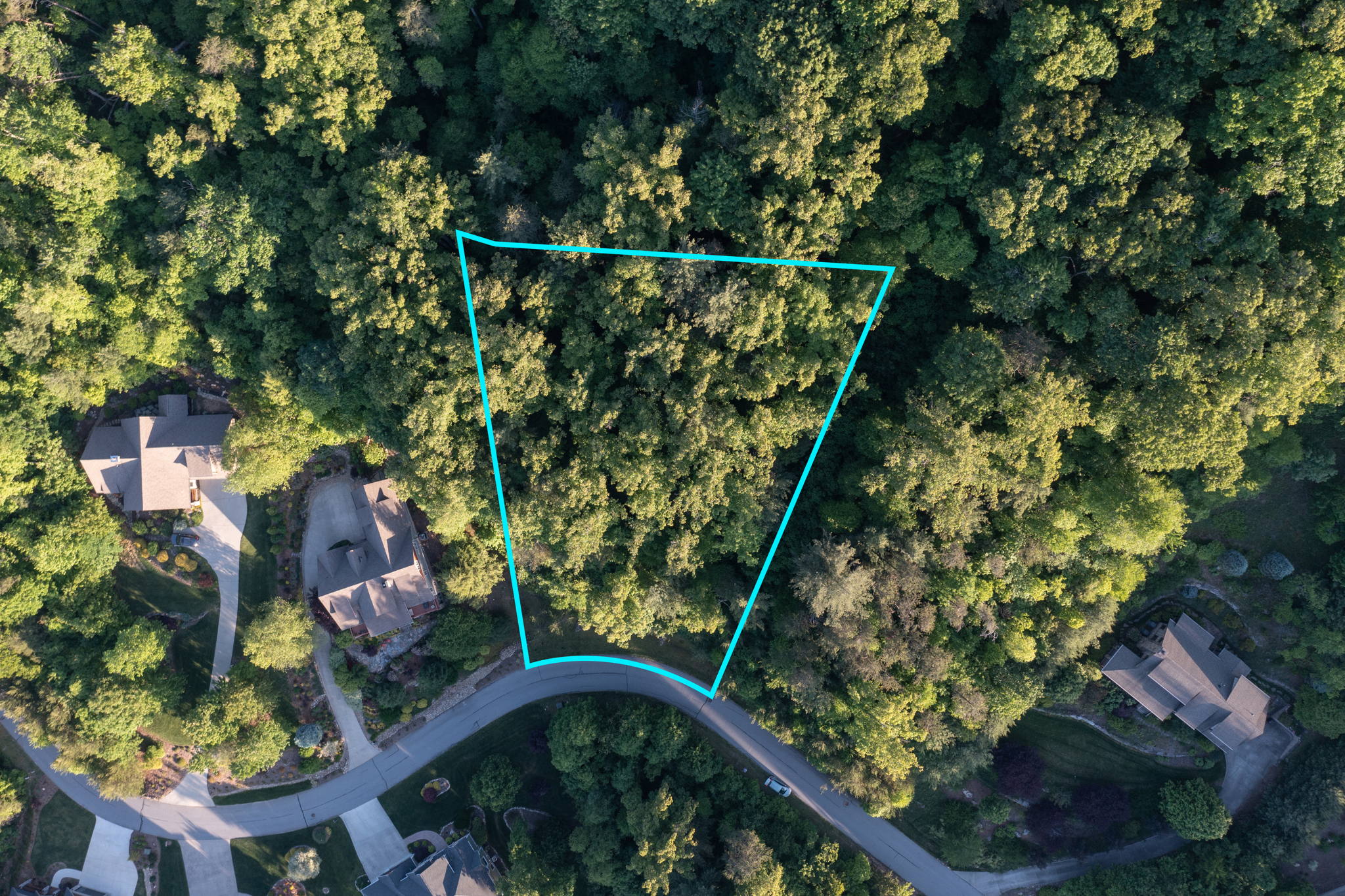 88 Village Pointe Ln, Asheville, NC 28803, USA Photo 3