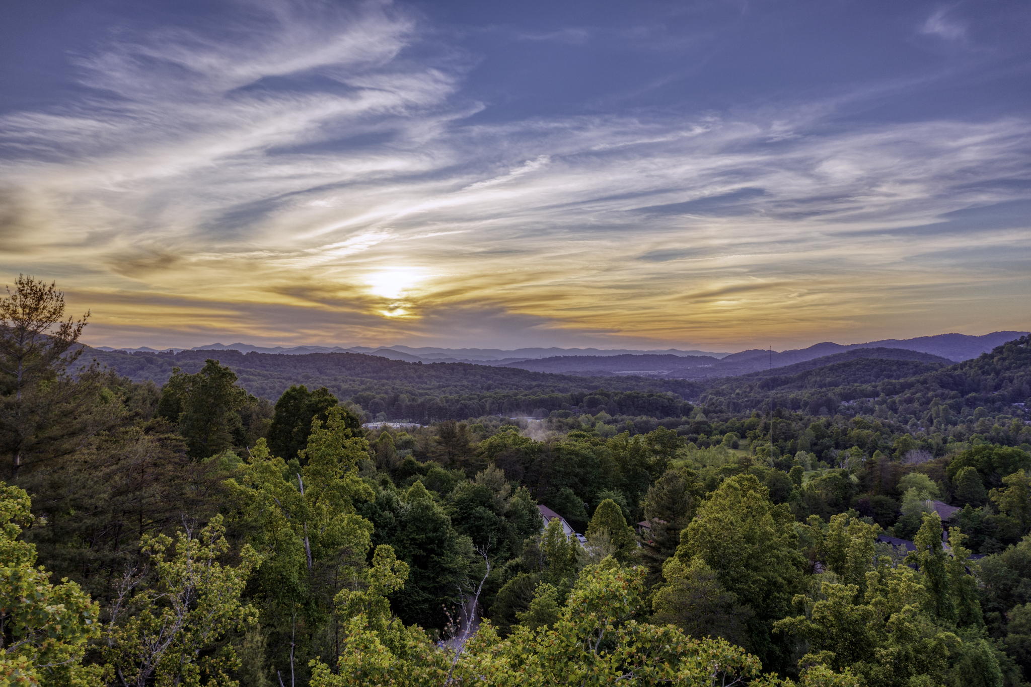 88 Village Pointe Ln, Asheville, NC 28803, USA