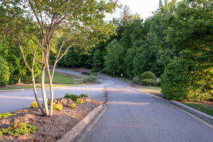 88 Village Pointe Ln, Asheville, NC 28803, USA Photo 10