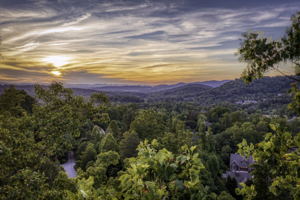 88 Village Pointe Ln, Asheville, NC 28803, USA Photo 13
