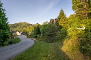 88 Village Pointe Ln, Asheville, NC 28803, USA Photo 5