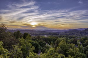 88 Village Pointe Ln, Asheville, NC 28803, USA Photo 0
