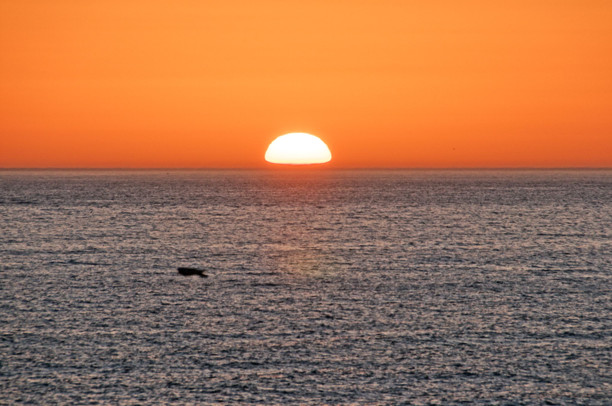 33-Sunset Clearwater Beach