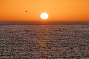 30-Sunset Clearwater Beach