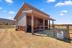 Run In Shed _1