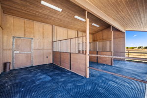 Run In Shed _2