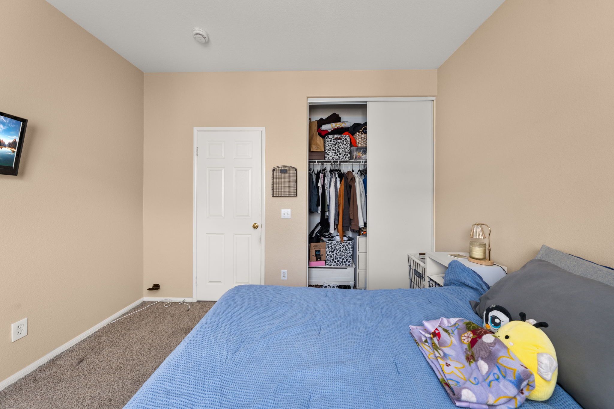  Photo 43