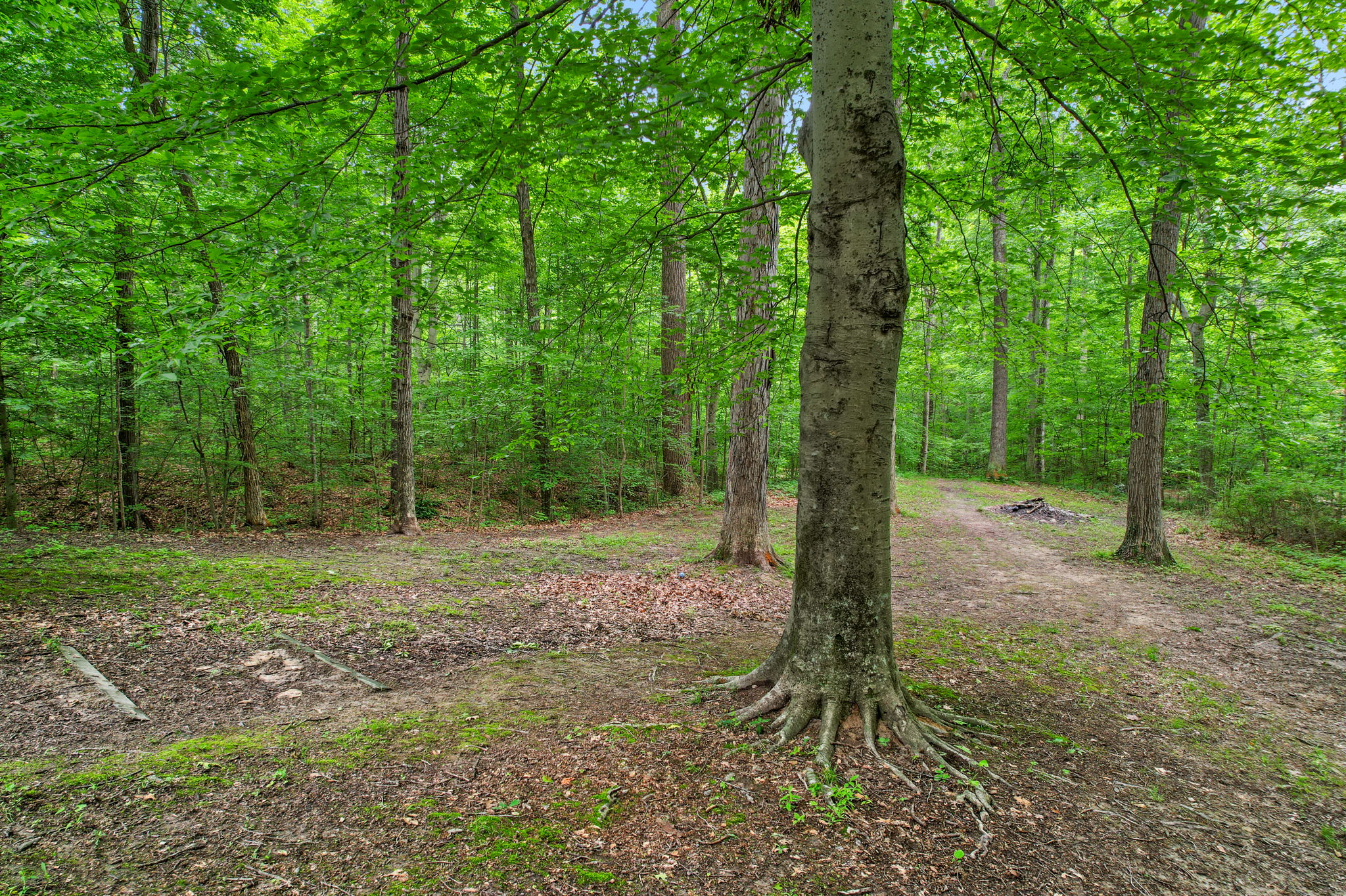  Photo 44