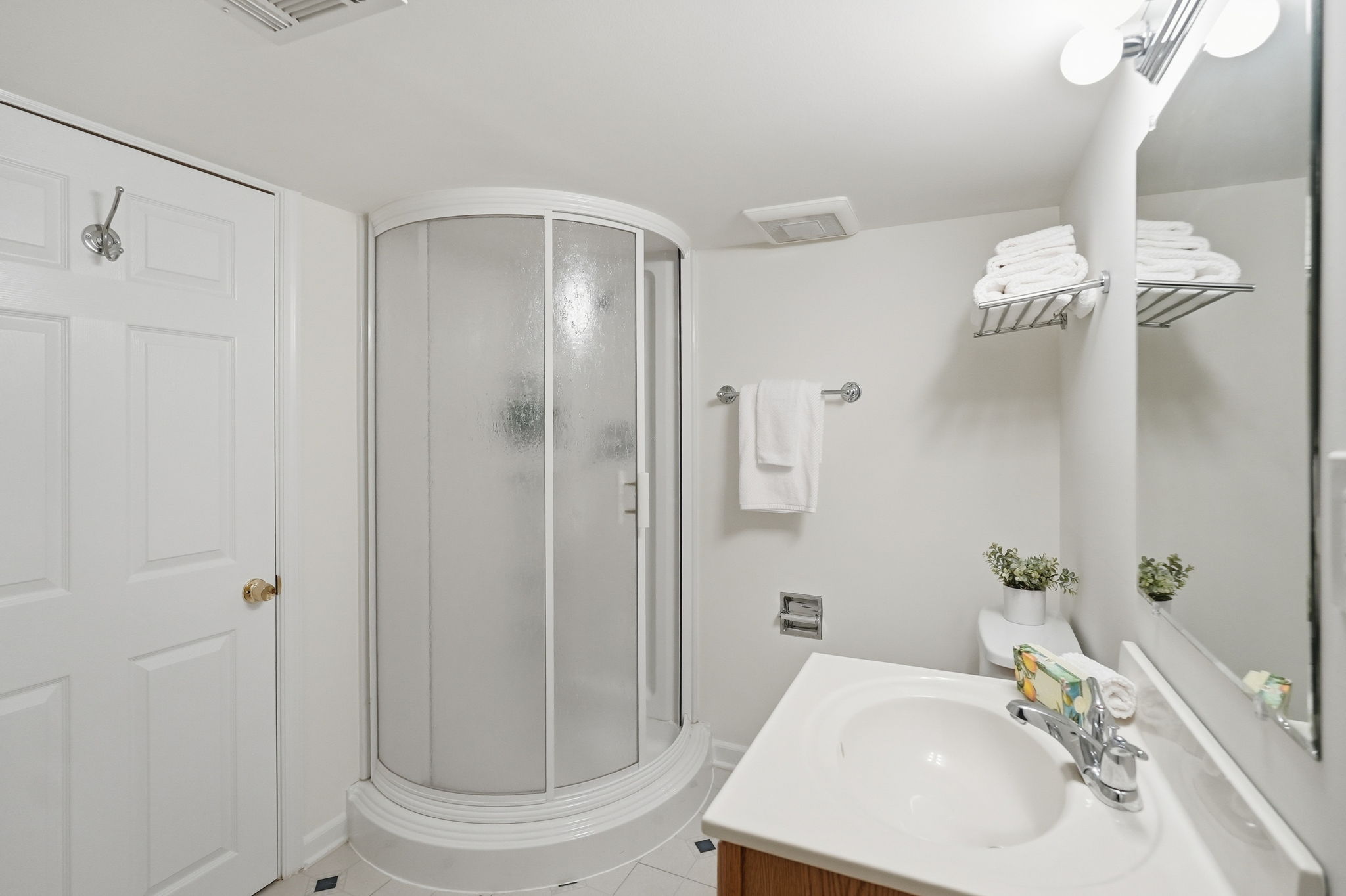 Lower Level Bathroom