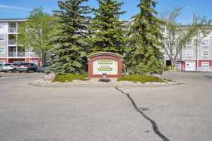  Photo 0