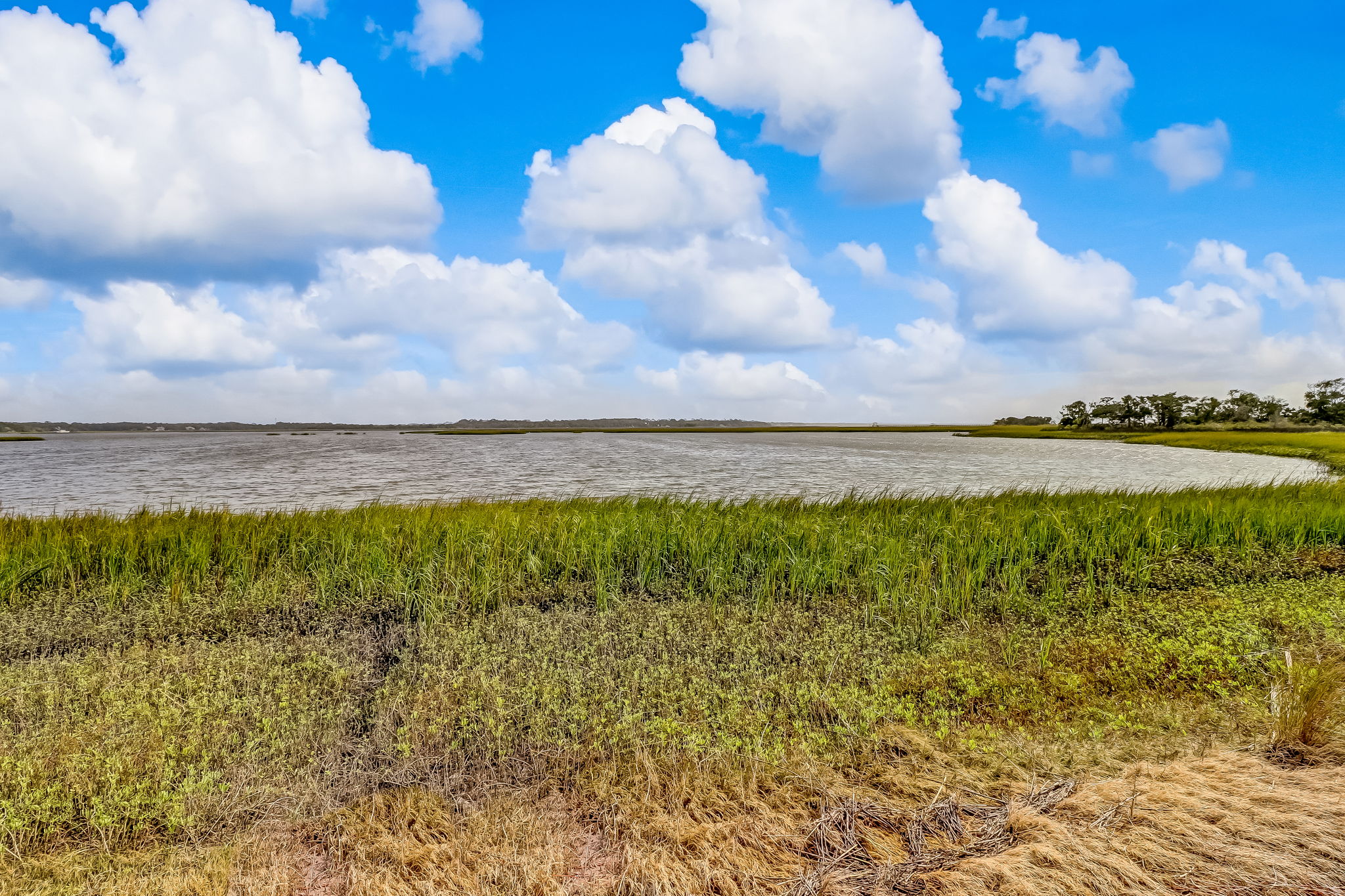 Marsh View