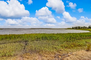 Marsh View