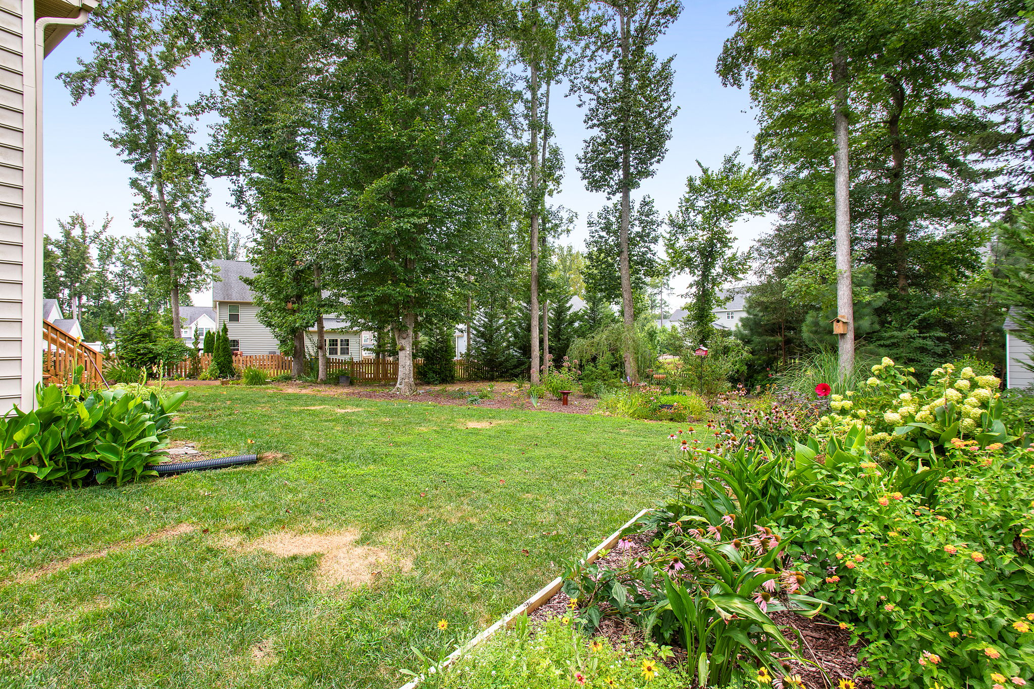 38-Backyard